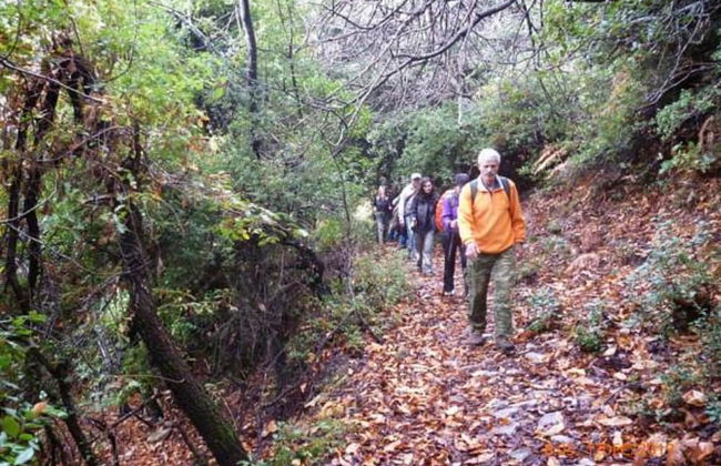 Petradi Hotel - Foto 49