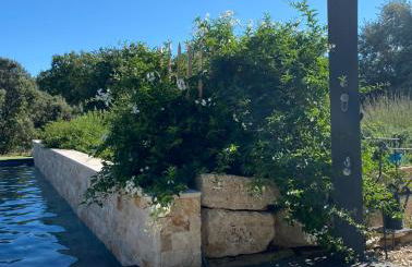 Gîte des Pape - Foto 20