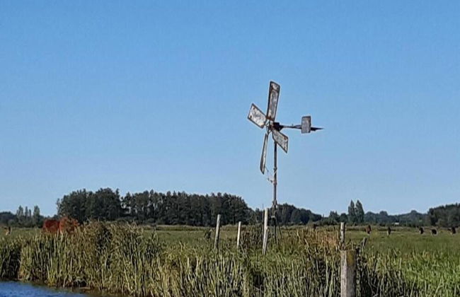 Rustic-chic Villa With Thatched Roof - Photo 41