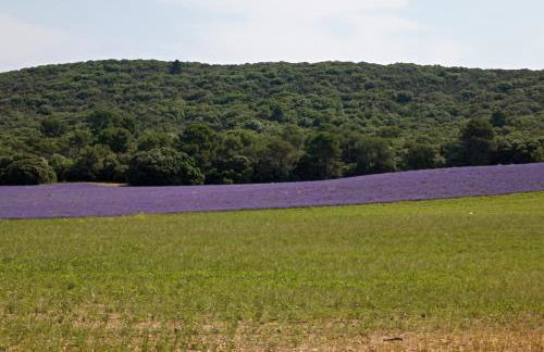 Studio Appart Verdon - Foto 56