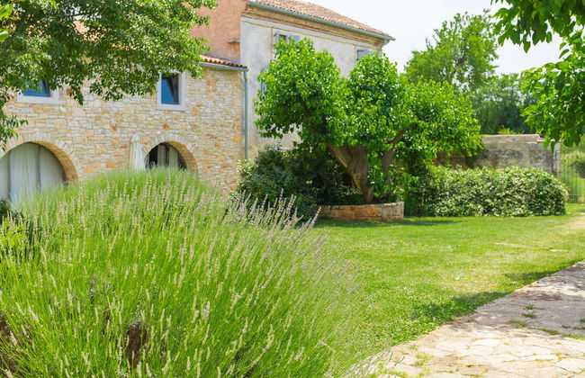 Stancija Negrin - Foto 32