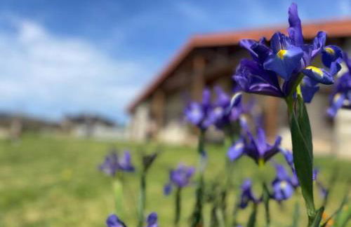Ven y disfruta en el corazón de Bizkaia-Urdaibai LBI00509 - Foto 37