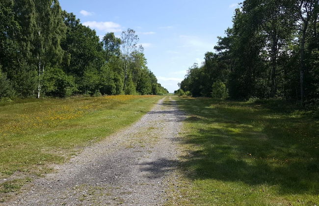 8 Person Holiday Home in Hadsund-by Traum - Photo 7