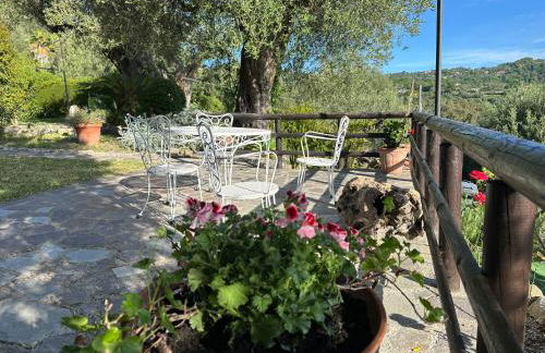 The Moon over the Sea - Photo 46