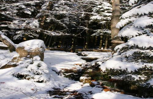 Ruckzugsort in Mossautal-huttenthal - Foto 78