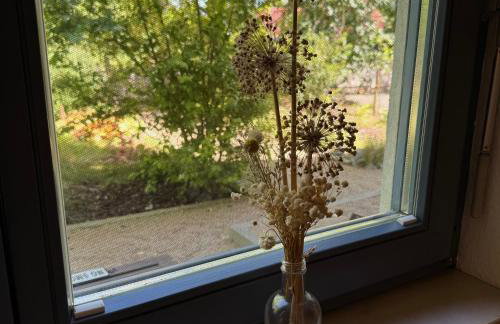 Elbinsel-Home ‘Alpakaliebe’ - Foto 3
