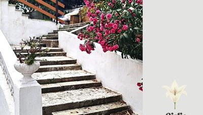 Villa Ofelia - Casa Vacanze in Puglia - Foto 4, Garden