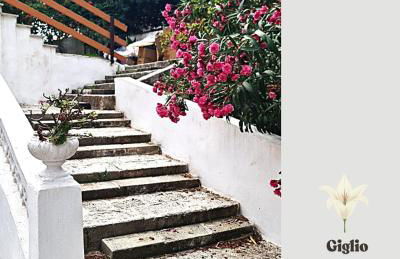 Villa Ofelia - Casa Vacanze in Puglia - Foto 6