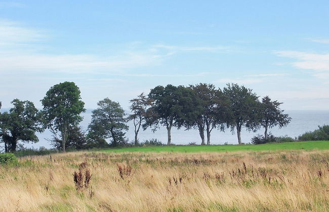 "Iorund" - 550m from the sea - Foto 3