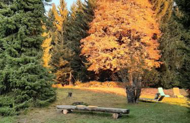 Haus Heidelberg - Foto 35