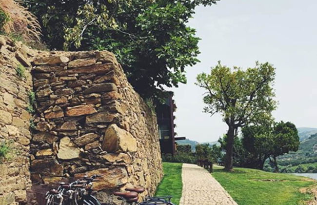 Quinta de S. Bernardo Winery & Farmhouse - Foto 24