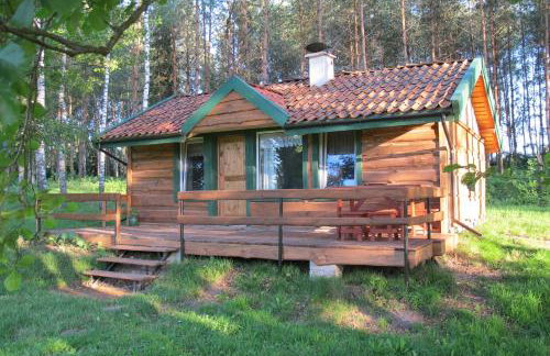 domki na leśnej polanie - Foto 12