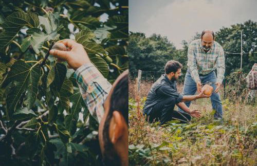 Agriturismo Buonasera - Foto 9