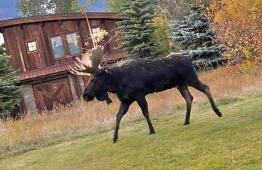 Gorgeous Jackson Hole Condo in Top location with Great Views and Private Deck with Barbeque! - Foto 13