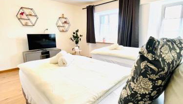 Schwarzwaldnest Donaueschingen - Foto 2