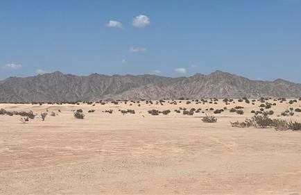 King Bed - Hot Tub, 3 Queens, Home away from home - Foto 33