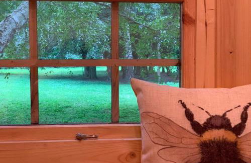 Starry Meadow & Rescued Animal Experiences - Foto 80