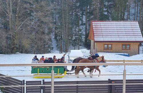 Villa Eva & Lilou Pod Rysianką - Foto 44