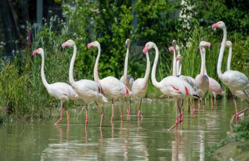 Nice Bungalow in Hallschlag Near the Lakebeach - Foto 140