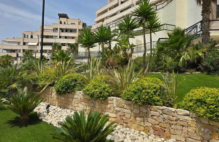 SolDosMares Apartmentos - Foto 15