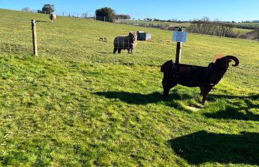 King Richard's Luxury Lodge - Sleeps up to 8, Dog Friendly, Near Sherwood Forest at Fairview Farm in Nottingham set in 88 acres and great for Groups, Family Gatherings & Corporate events - Foto 50