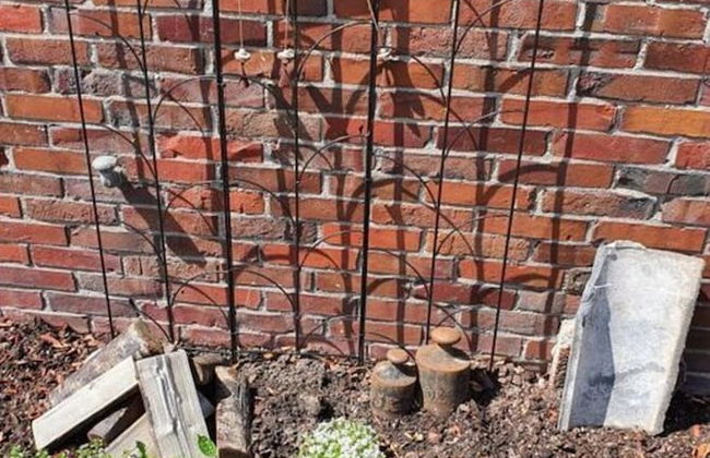 Coastal View of East Frisia - Foto 5