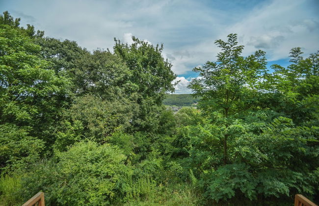 Villages of Wisp 70 Bright Passage by Taylor Made Deep Creek - Foto 16