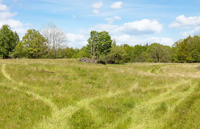 Rödmossa Femton - Foto 32