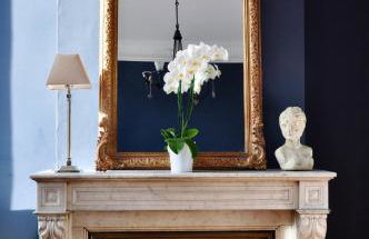 Romance au coeur de Bordeaux / Jardin Public - Foto 1