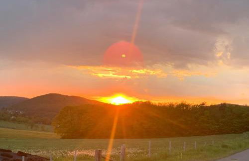 Haus Waldesruh, 3 Ferienwohnungen - Foto 48