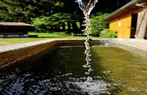 Chalet Waldstadl oder Andrea's Woidhaisl - Foto 42