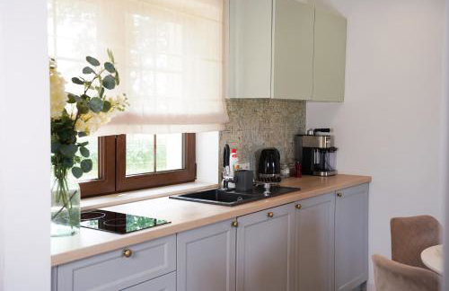 Apartamenty na Dworskiej - BLISKO ENERGYLANDIA, ZATOR, ZATORLAND - Foto 67