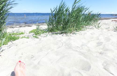 Kastanienhof - Foto 63