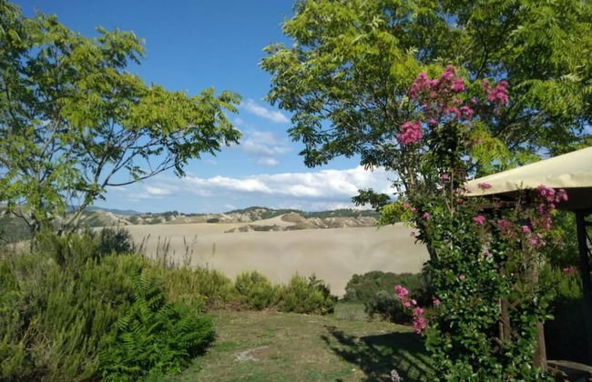 Fattoria Lischeto - Foto 48