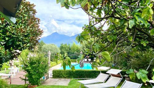 Ibiscus lago di Como - Foto 2