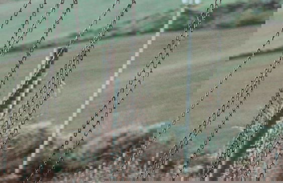 Colle San Mauro - Foto 74