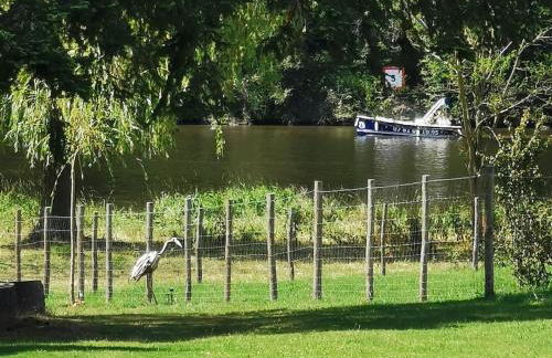 Le Ponton des Sympetrums - Foto 16