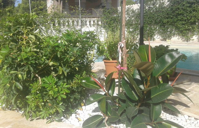 Villa Angelina - Foto 33