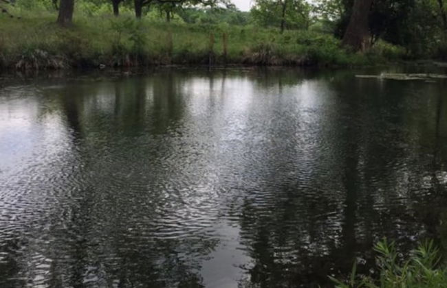 Frio Springs Lodges - Photo 43