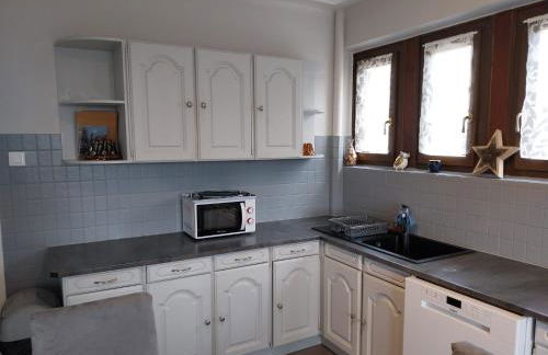 Les Hirondelles du MAMBOURG - Foto 43