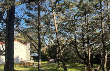 Maison à deux pas des Dunes et de la plage-15mn du Vendée Globe - Photo 11