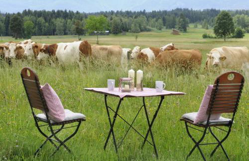 Seeleitenhof - Foto 19