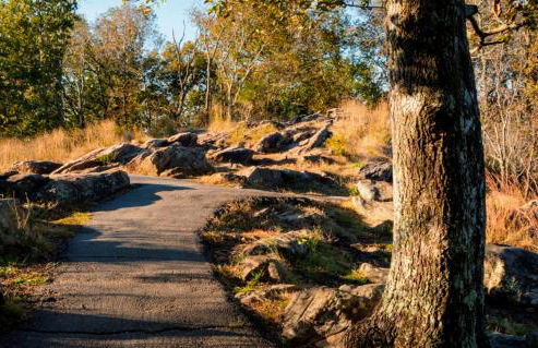 Lovely 5 Bedrooms, 3 Full Baths Home Near Parks! - Foto 44