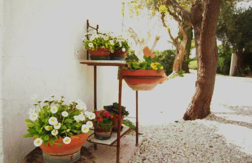 Agriturismo Ponterosa - Foto 45