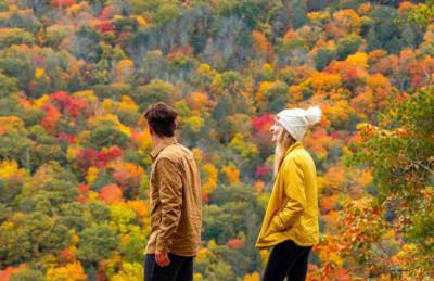 Renovated Retreat with Heated Pool - Foto 46