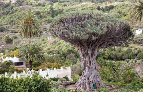 TenoHomes Sunny Terrace & Private Pool - Foto 27