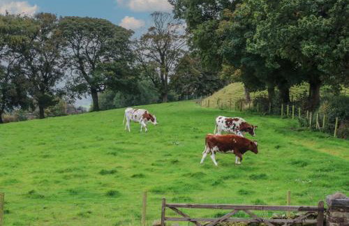 Small Lane Barn - Foto 56