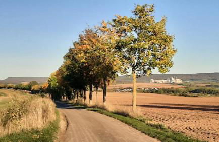 Auszeit-Oase - Foto 33