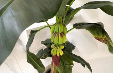 Apartament Sunrise - Foto 54