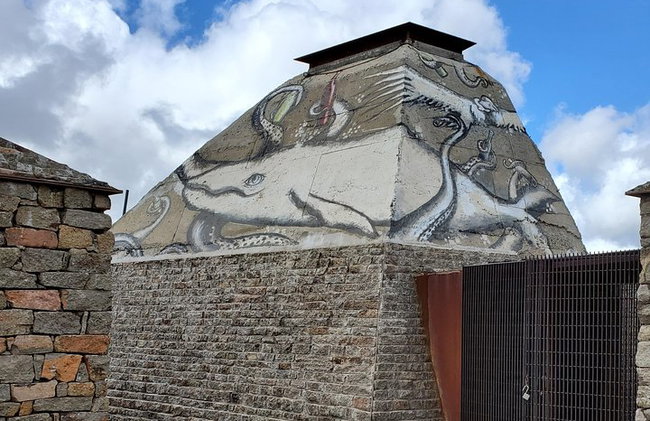 Tour del Vino del Valle de Guadalupe - Foto 5